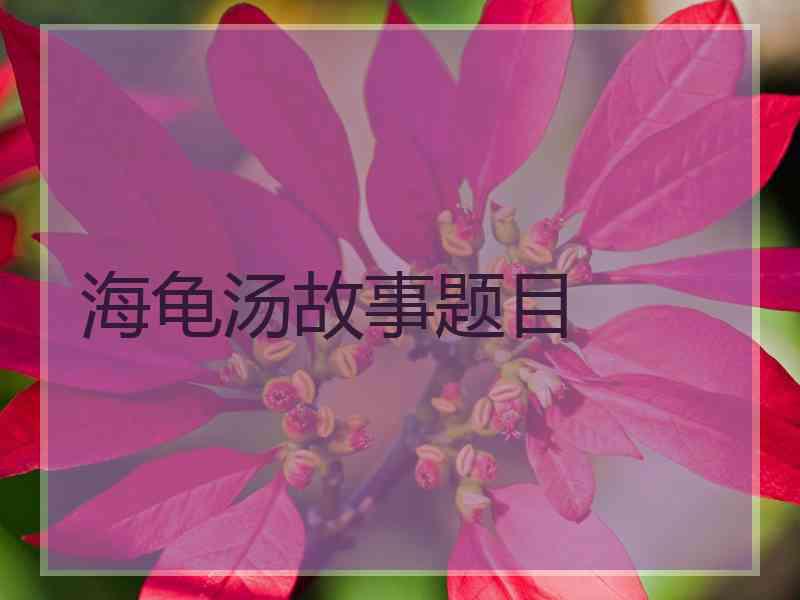 海龟汤故事题目 海龟汤故事题目