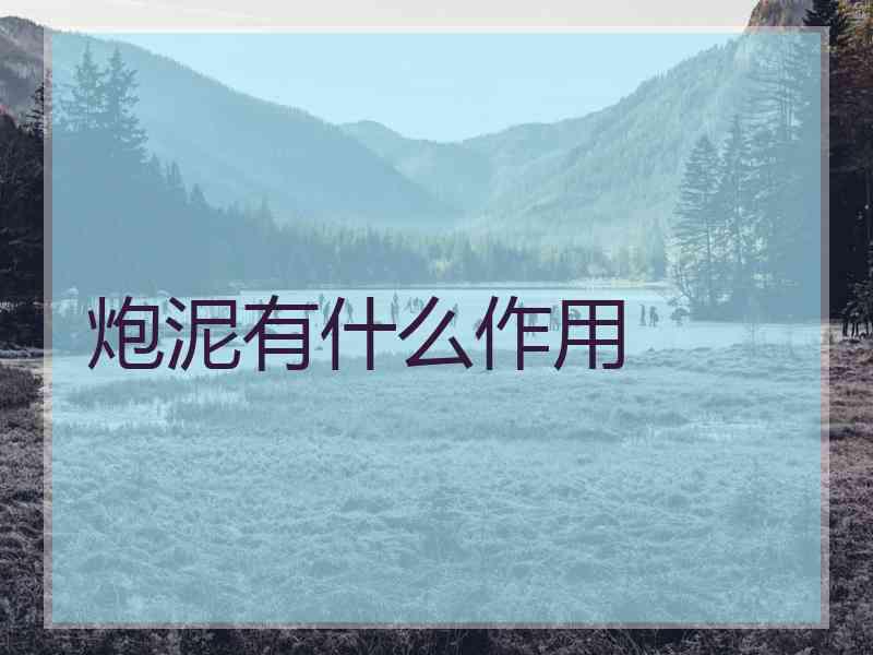 炮泥有什么作用 炮泥有什么作用