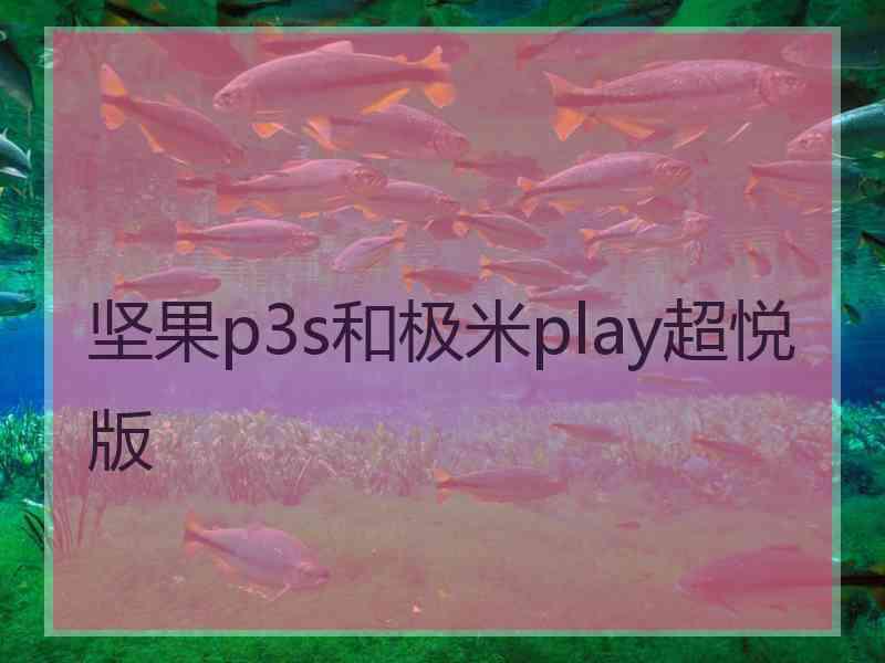坚果p3s和极米play超悦版 坚果p3s和极米play超悦版
