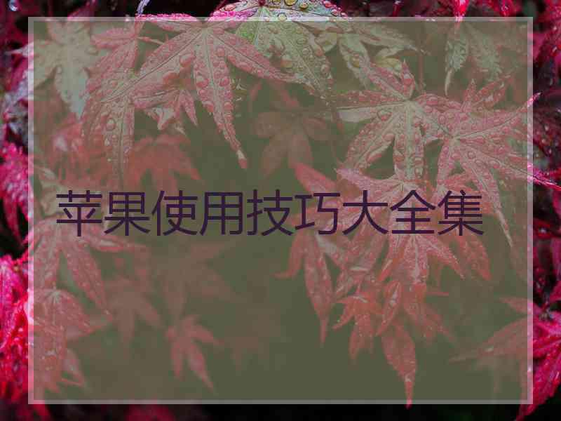苹果使用技巧大全集 苹果使用技巧大全集