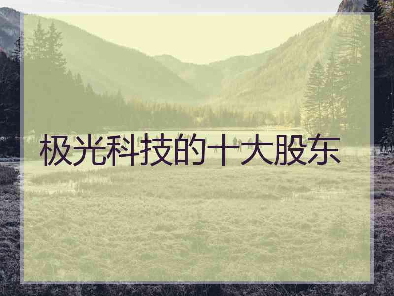极光科技的十大股东 极光科技的十大股东