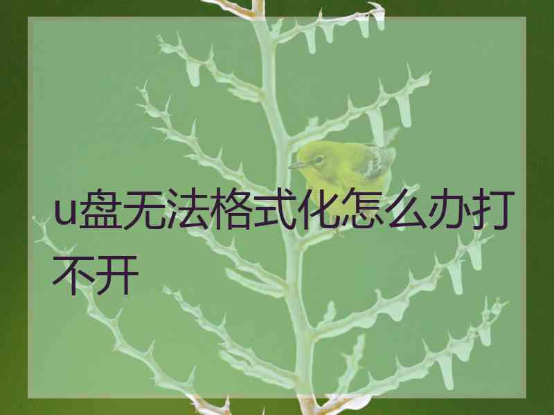 u盘无法格式化怎么办打不开 u盘无法格式化怎么办打不开