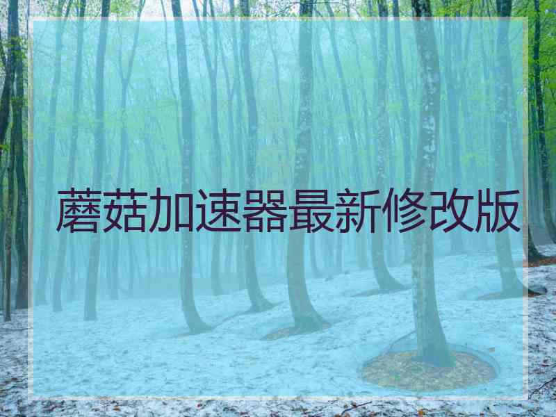 蘑菇加速器最新修改版 蘑菇加速器最新修改版