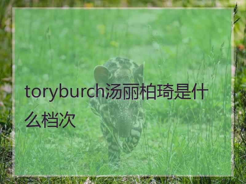 toryburch汤丽柏琦是什么档次 toryburch汤丽柏琦是什么档次