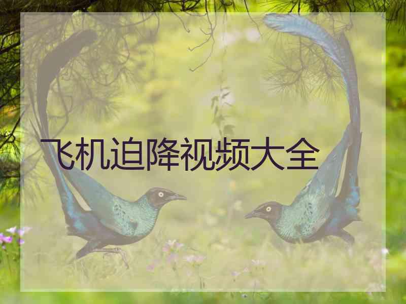 飞机迫降视频大全 飞机迫降视频大全