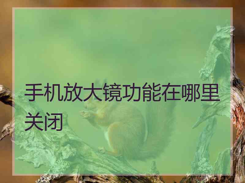 手机放大镜功能在哪里关闭 手机放大镜功能在哪里关闭