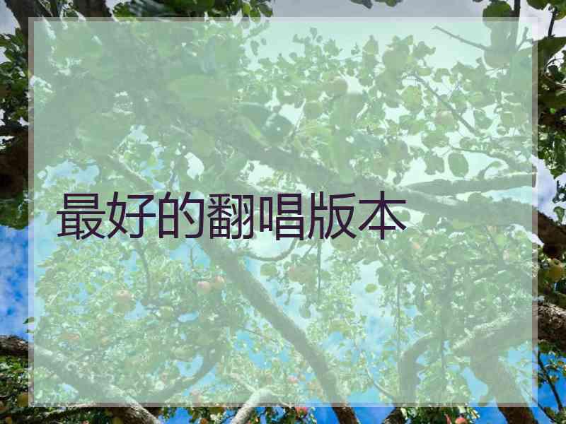 最好的翻唱版本 最好的翻唱版本