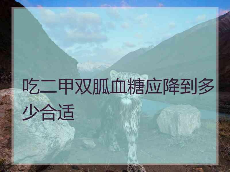 吃二甲双胍血糖应降到多少合适 吃二甲双胍血糖应降到多少合适