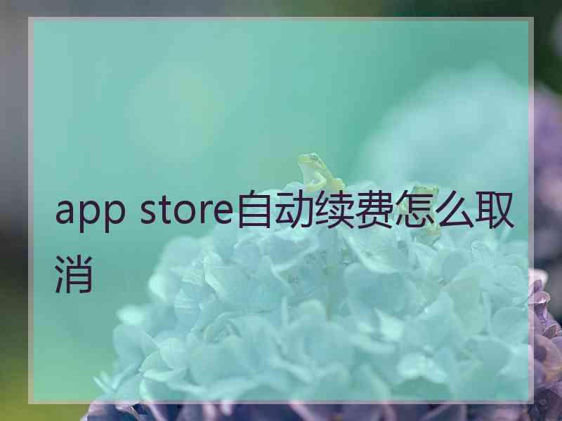 app store自动续费怎么取消 app store自动续费怎么取消