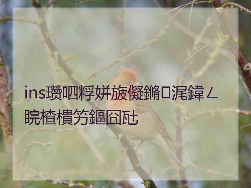 ins瓒呬粰姘旇儗鏅浘鍏ㄥ睆楂樻竻鏂囧瓧 ins瓒呬粰姘旇儗鏅浘鍏ㄥ睆楂樻竻鏂囧瓧