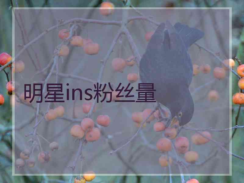 明星ins粉丝量 明星ins粉丝量