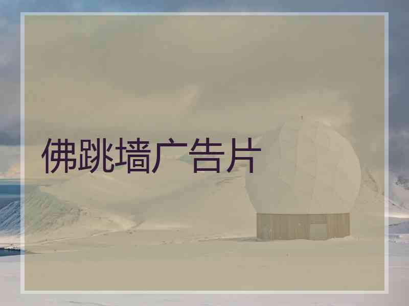 佛跳墙广告片 佛跳墙广告片