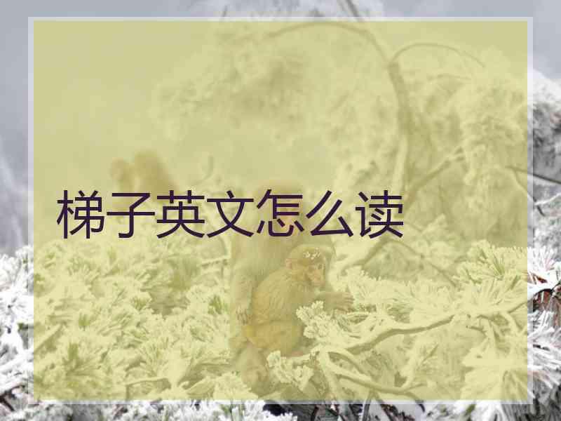 梯子英文怎么读 梯子英文怎么读