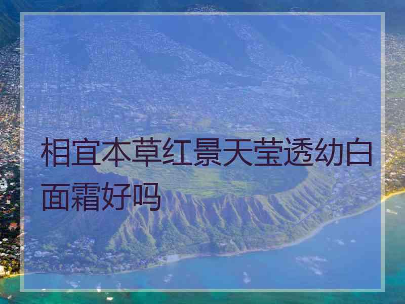 相宜本草红景天莹透幼白面霜好吗 相宜本草红景天莹透幼白面霜好吗