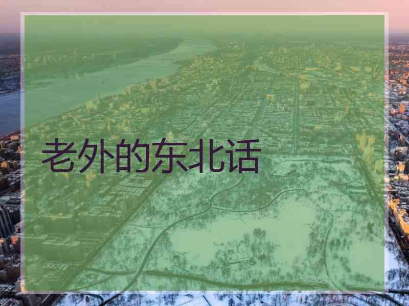 老外的东北话 老外的东北话