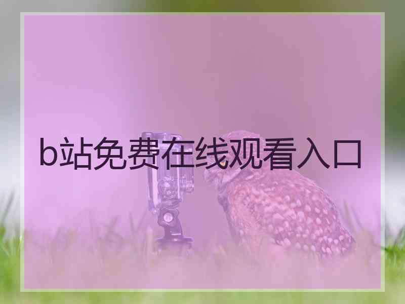 b站免费在线观看入口 b站免费在线观看入口