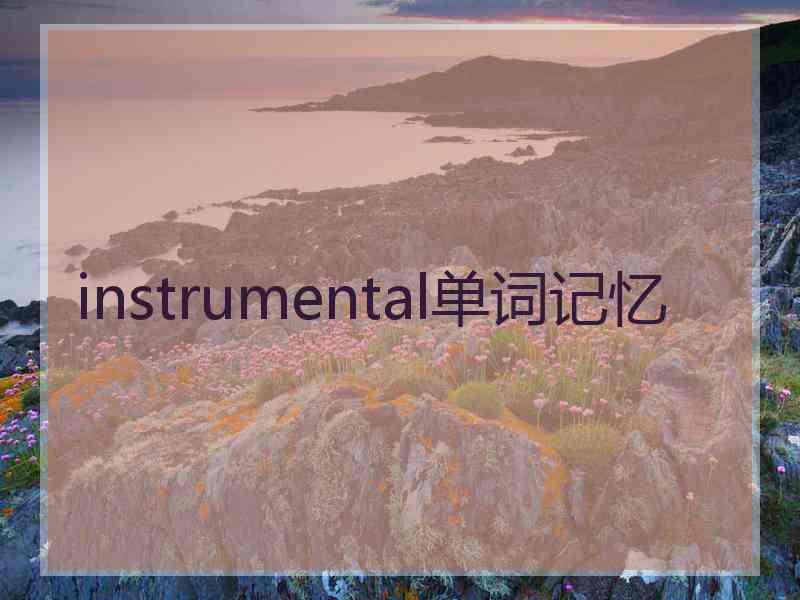 instrumental单词记忆 instrumental单词记忆