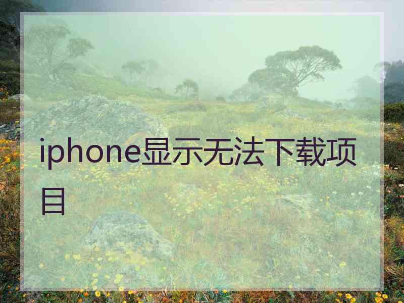 iphone显示无法下载项目 iphone显示无法下载项目