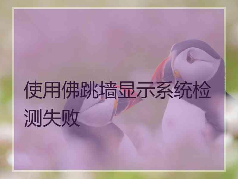使用佛跳墙显示系统检测失败 使用佛跳墙显示系统检测失败