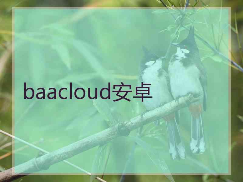 baacloud安卓 baacloud安卓