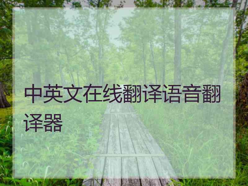 中英文在线翻译语音翻译器 中英文在线翻译语音翻译器