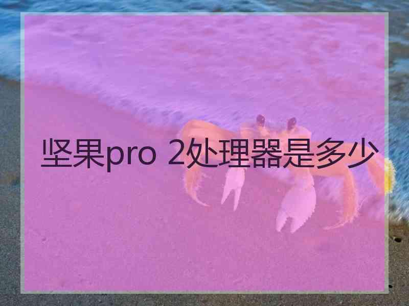 坚果pro 2处理器是多少 坚果pro 2处理器是多少