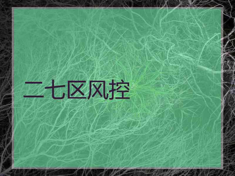 二七区风控 二七区风控
