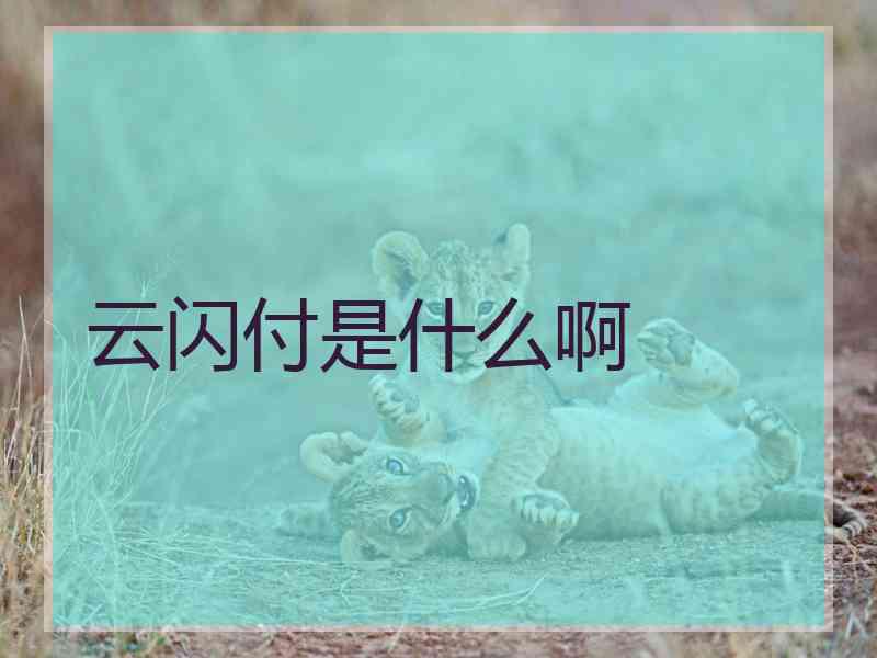 云闪付是什么啊 云闪付是什么啊