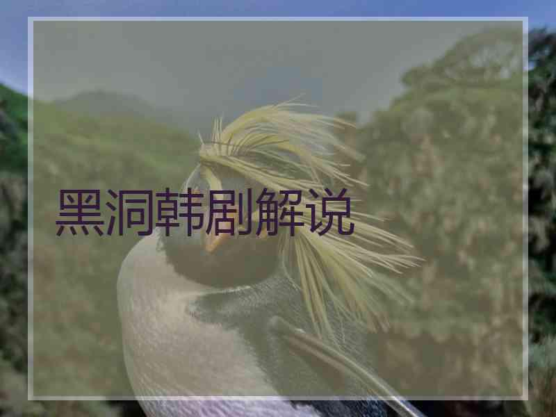 黑洞韩剧解说 黑洞韩剧解说