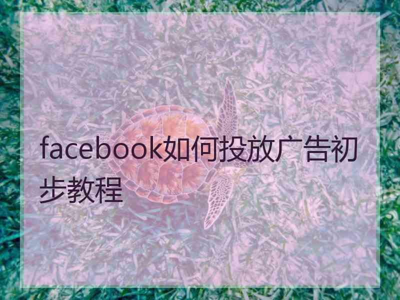 facebook如何投放广告初步教程 facebook如何投放广告初步教程