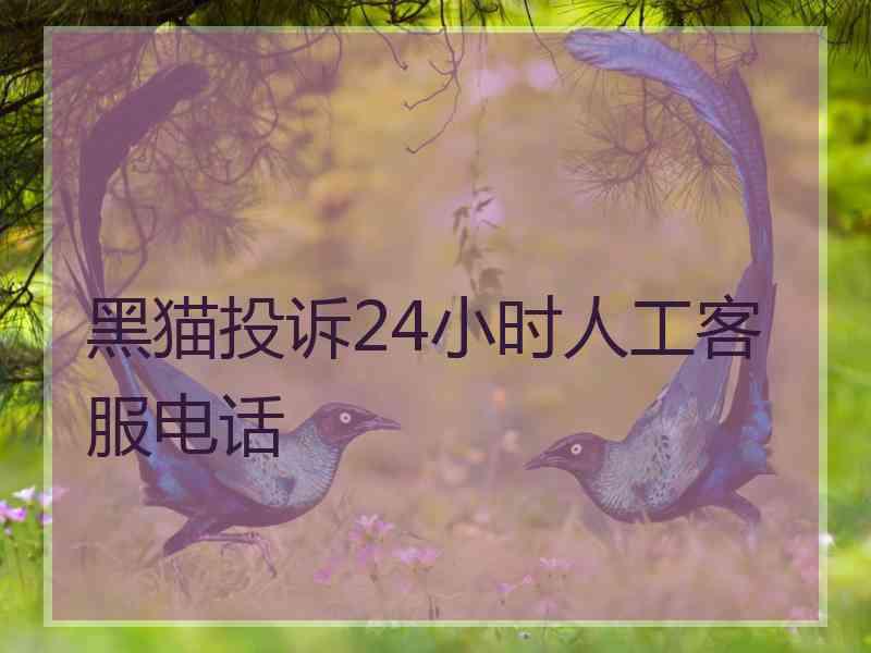黑猫投诉24小时人工客服电话 黑猫投诉24小时人工客服电话