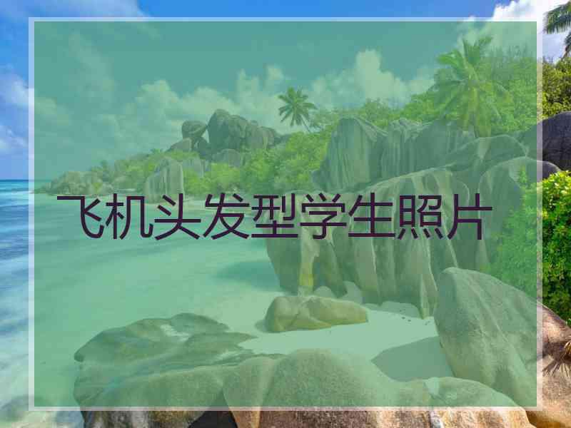 飞机头发型学生照片 飞机头发型学生照片