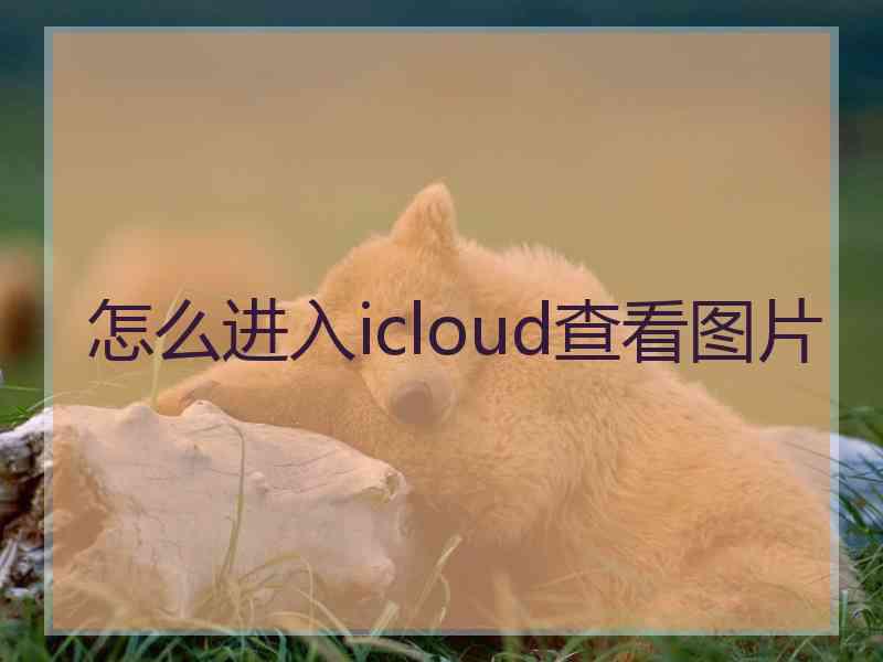 怎么进入icloud查看图片 怎么进入icloud查看图片
