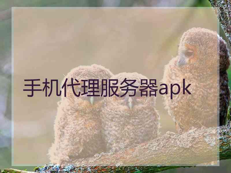 手机代理服务器apk 手机代理服务器apk