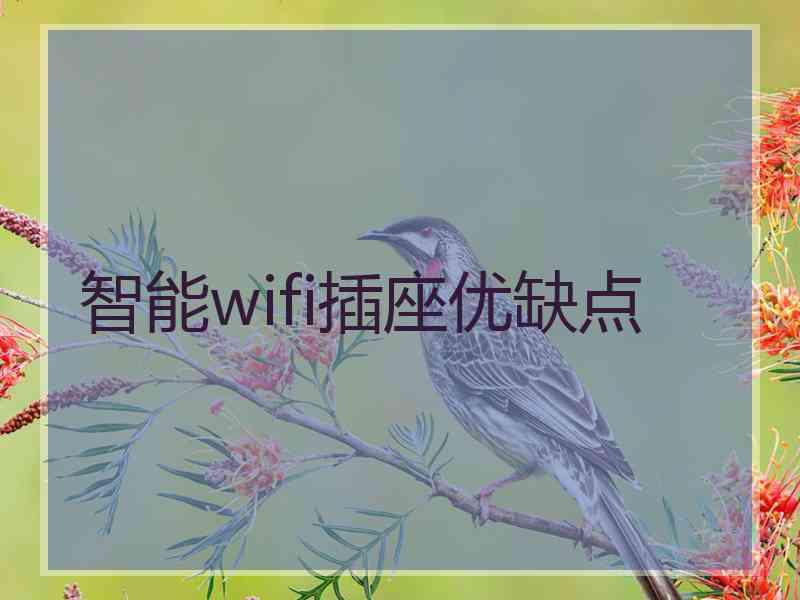 智能wifi插座优缺点 智能wifi插座优缺点
