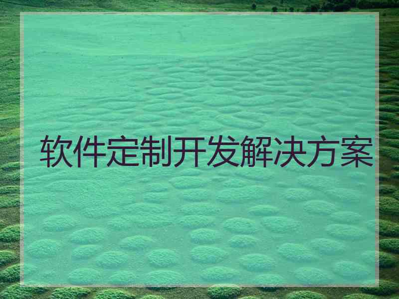 软件定制开发解决方案 软件定制开发解决方案