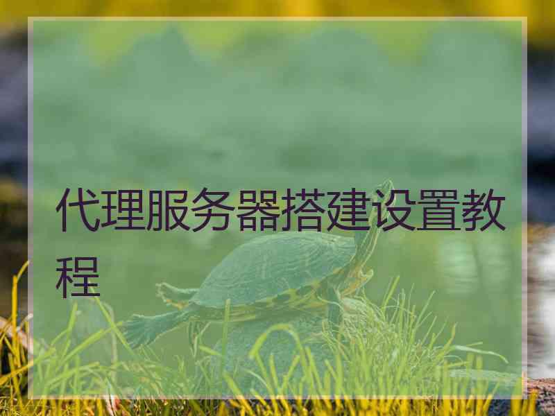 代理服务器搭建设置教程 代理服务器搭建设置教程