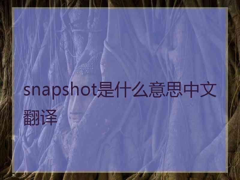 snapshot是什么意思中文翻译 snapshot是什么意思中文翻译