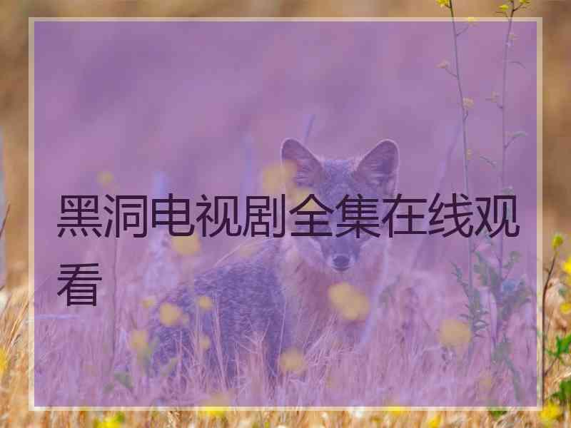 黑洞电视剧全集在线观看 黑洞电视剧全集在线观看