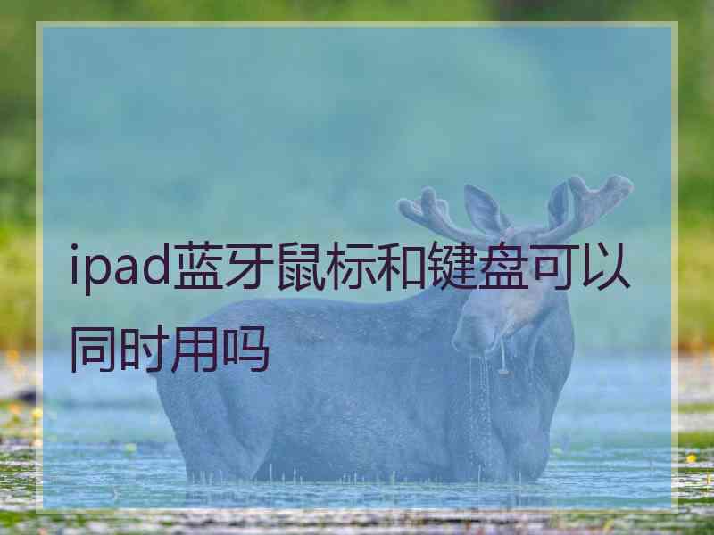 ipad蓝牙鼠标和键盘可以同时用吗 ipad蓝牙鼠标和键盘可以同时用吗