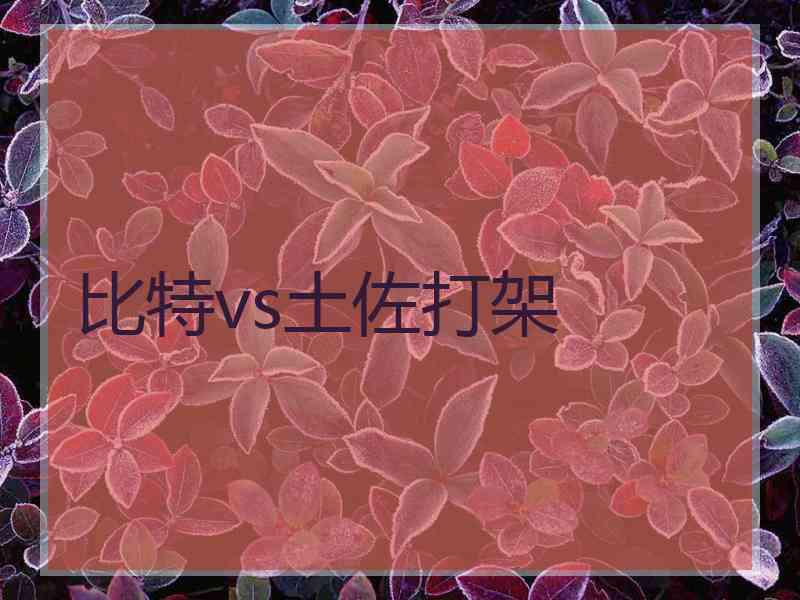 比特vs土佐打架 比特vs土佐打架