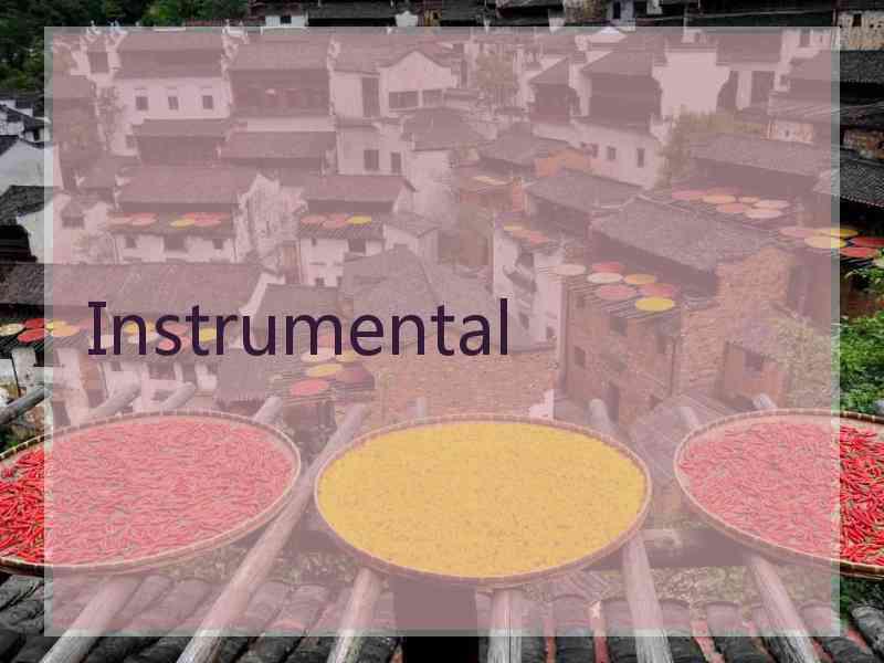 Instrumental Instrumental