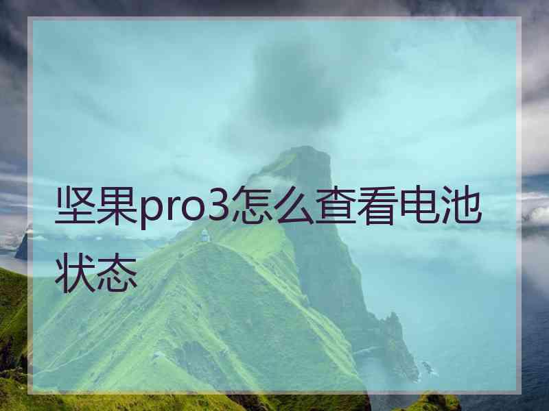 坚果pro3怎么查看电池状态 坚果pro3怎么查看电池状态