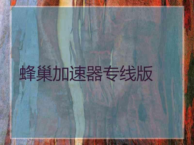 蜂巢加速器专线版 蜂巢加速器专线版