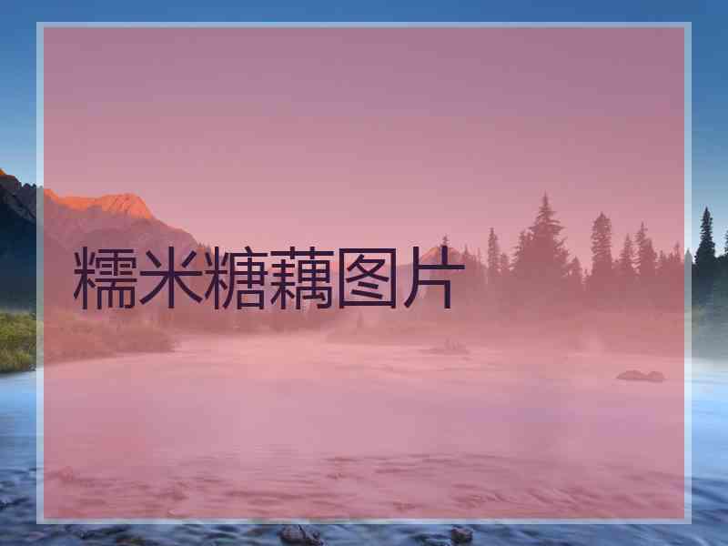 糯米糖藕图片 糯米糖藕图片