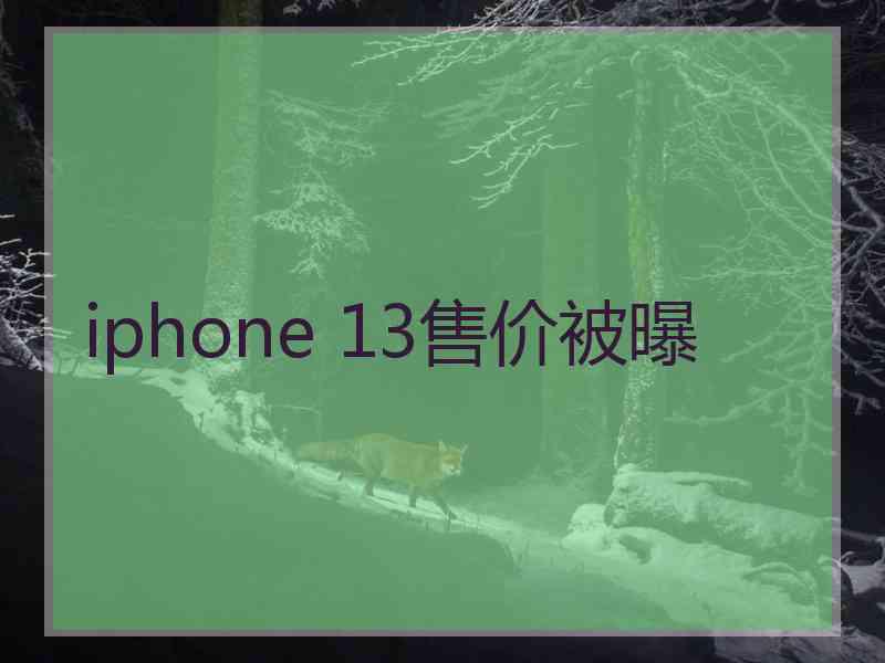 iphone 13售价被曝 iphone 13售价被曝