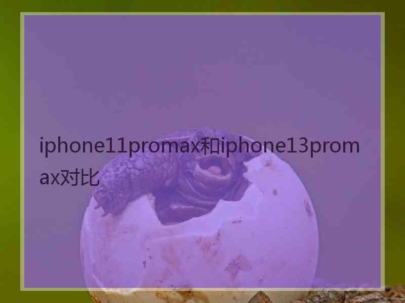 iphone11promax和iphone13promax对比 iphone11promax和iphone13promax对比