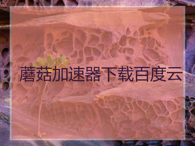 蘑菇加速器下载百度云 蘑菇加速器下载百度云