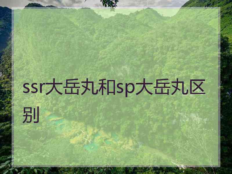 ssr大岳丸和sp大岳丸区别 ssr大岳丸和sp大岳丸区别