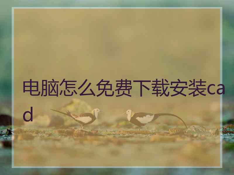 电脑怎么免费下载安装cad 电脑怎么免费下载安装cad